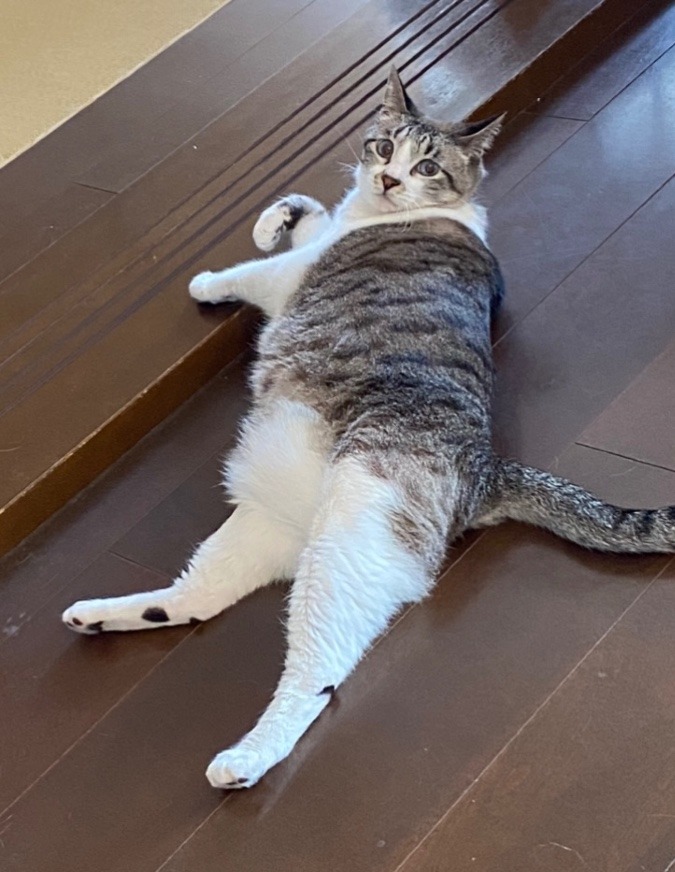 はじめまして！